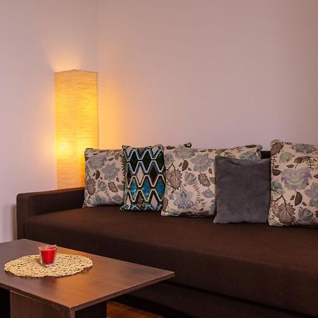 Alessia Apartment In The Old Town Тимишоара Екстериор снимка