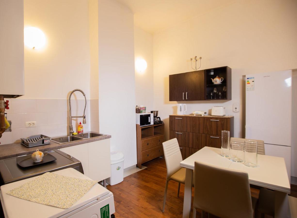 Alessia Apartment In The Old Town Тимишоара Екстериор снимка