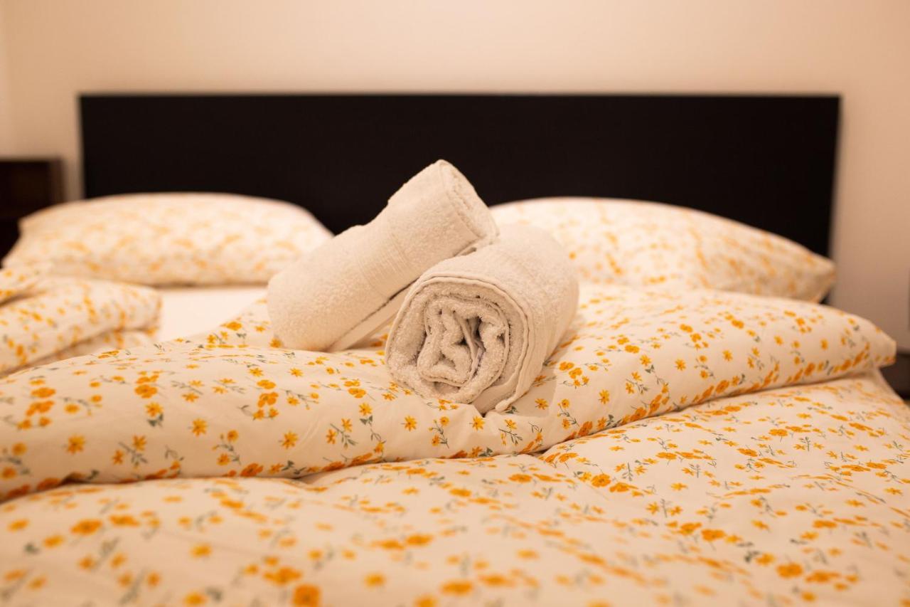 Alessia Apartment In The Old Town Тимишоара Екстериор снимка