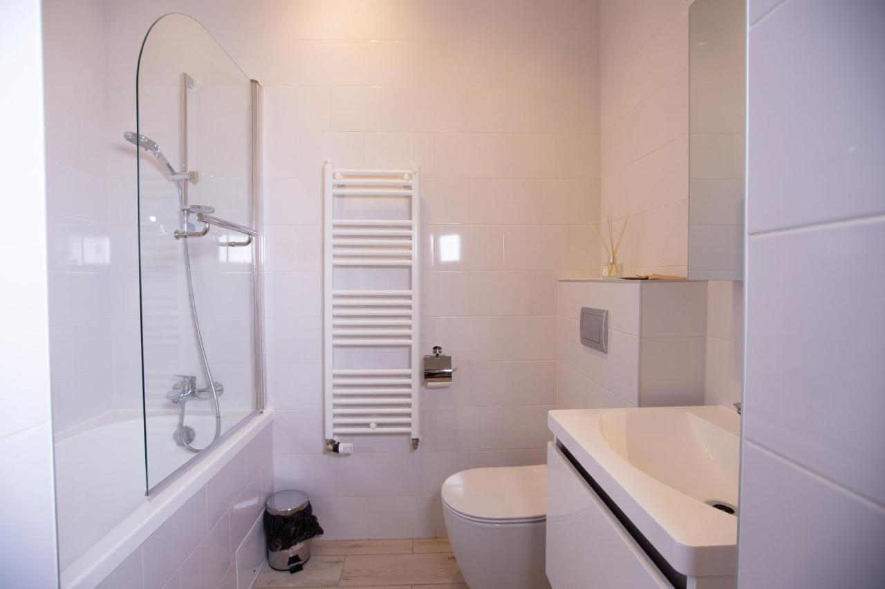 Alessia Apartment In The Old Town Тимишоара Екстериор снимка