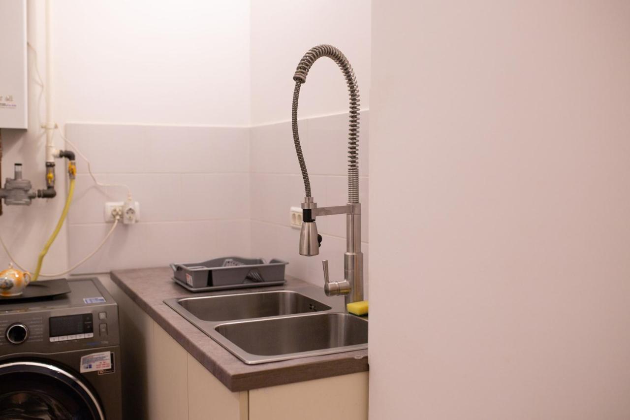 Alessia Apartment In The Old Town Тимишоара Екстериор снимка