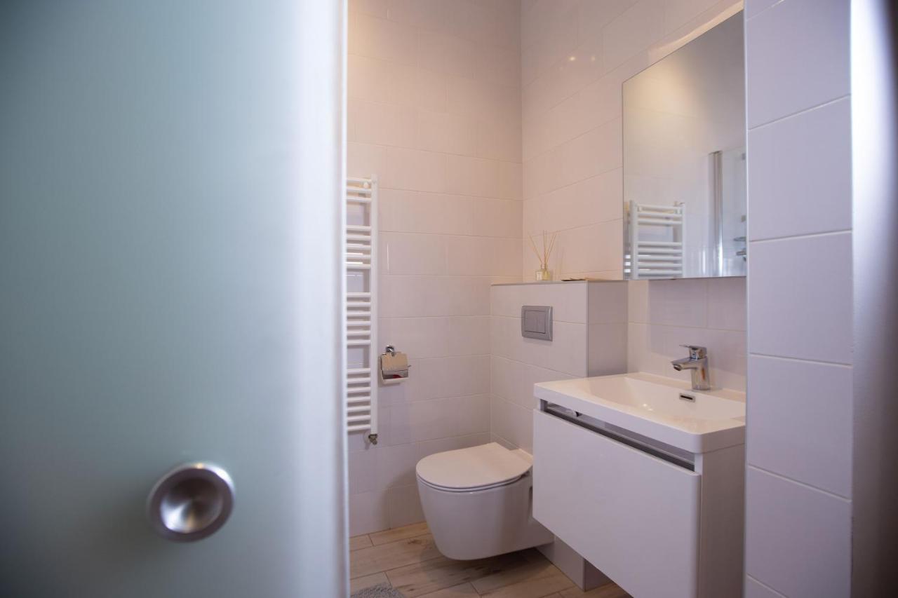 Alessia Apartment In The Old Town Тимишоара Екстериор снимка