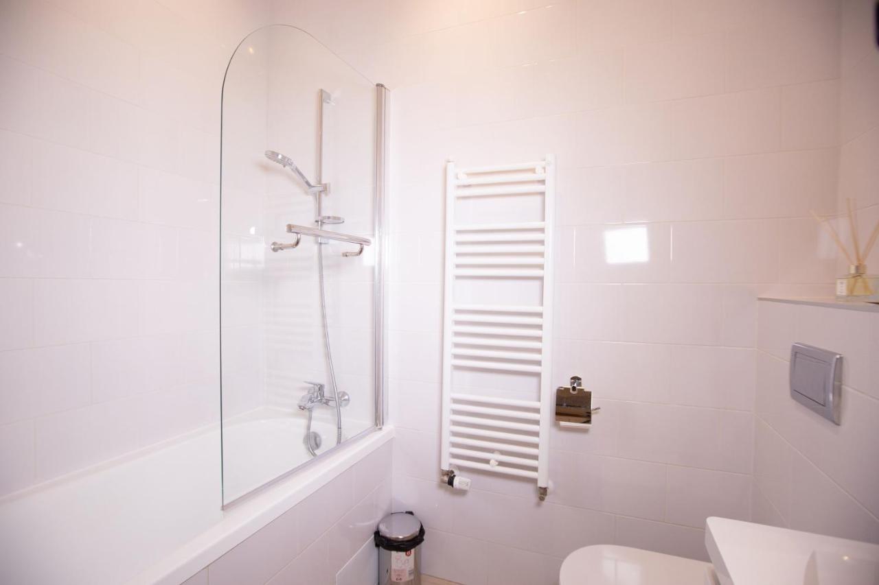 Alessia Apartment In The Old Town Тимишоара Екстериор снимка