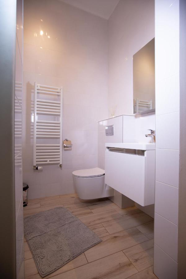 Alessia Apartment In The Old Town Тимишоара Екстериор снимка