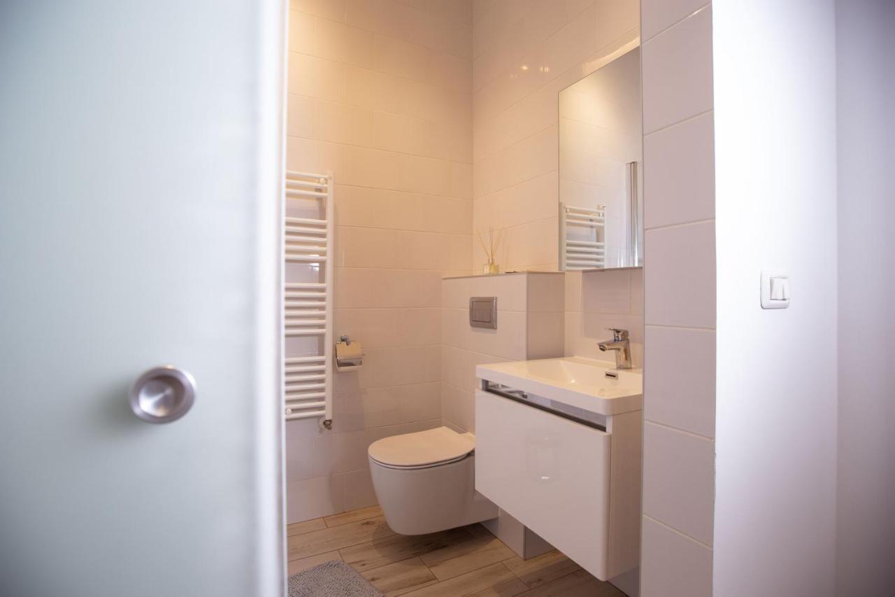 Alessia Apartment In The Old Town Тимишоара Екстериор снимка